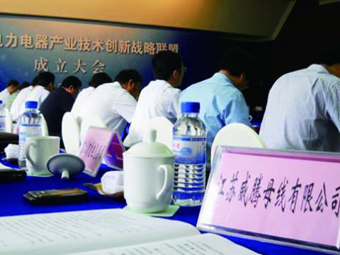bti体育母线参与江苏省电力电器产业技术创新战术同盟