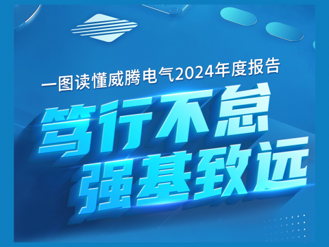 一图读懂bti体育电气2024年度汇报